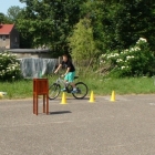 Dzień Patrona, Dzień Sportu